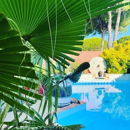 Hebergement Insolite Studio Grau Du Roi Mas Des Marines Piscine Le Grau-du-Roi Eksteriør bilde