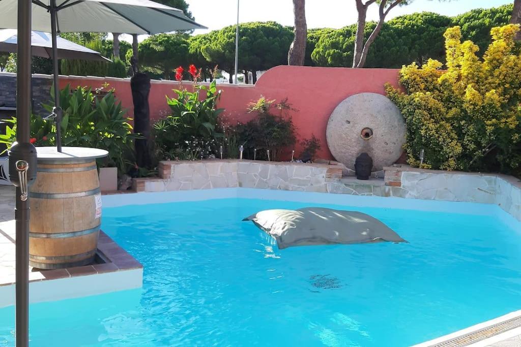 Hebergement Insolite Studio Grau Du Roi Mas Des Marines Piscine Le Grau-du-Roi Eksteriør bilde